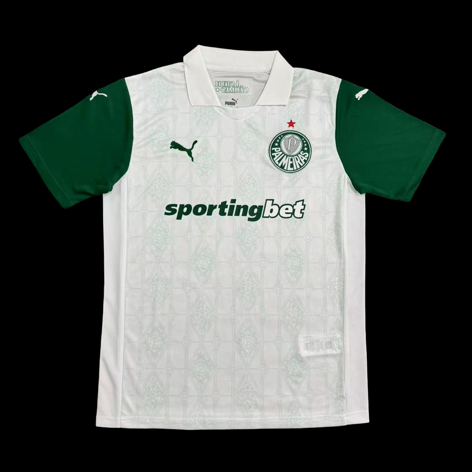 Palmeiras Maillot Exterieur 25/26