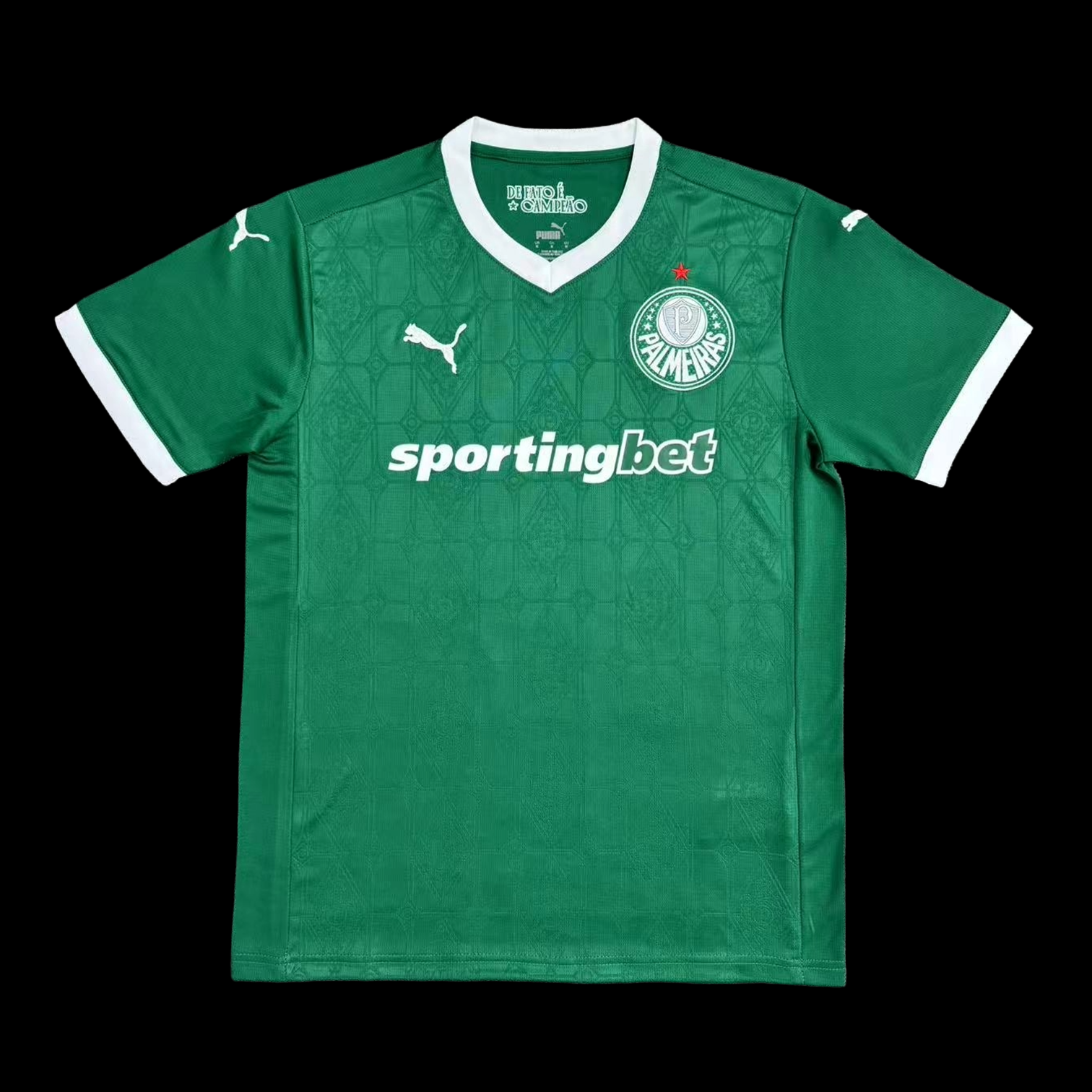 Palmeiras Maillot Domicile 25/26
