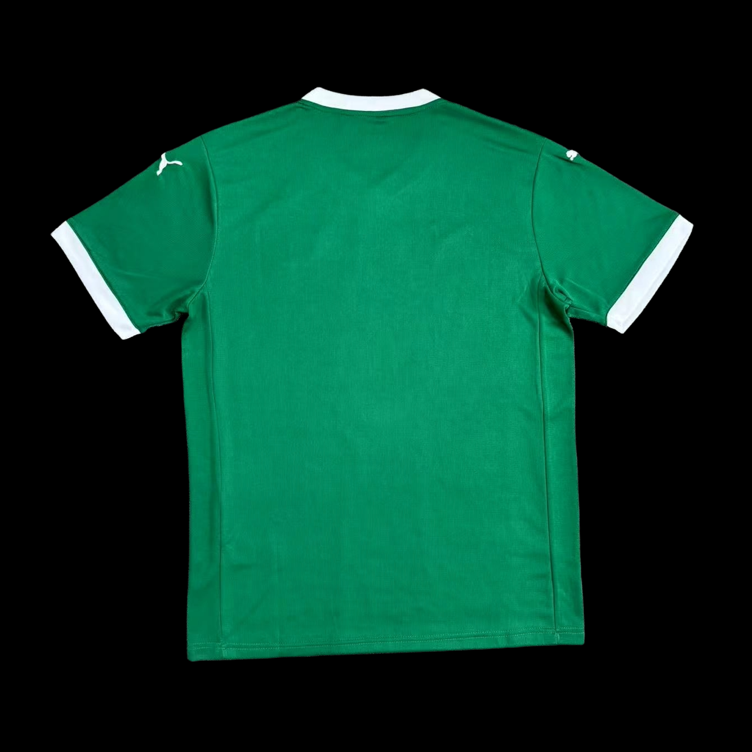 Palmeiras Maillot Domicile 25/26