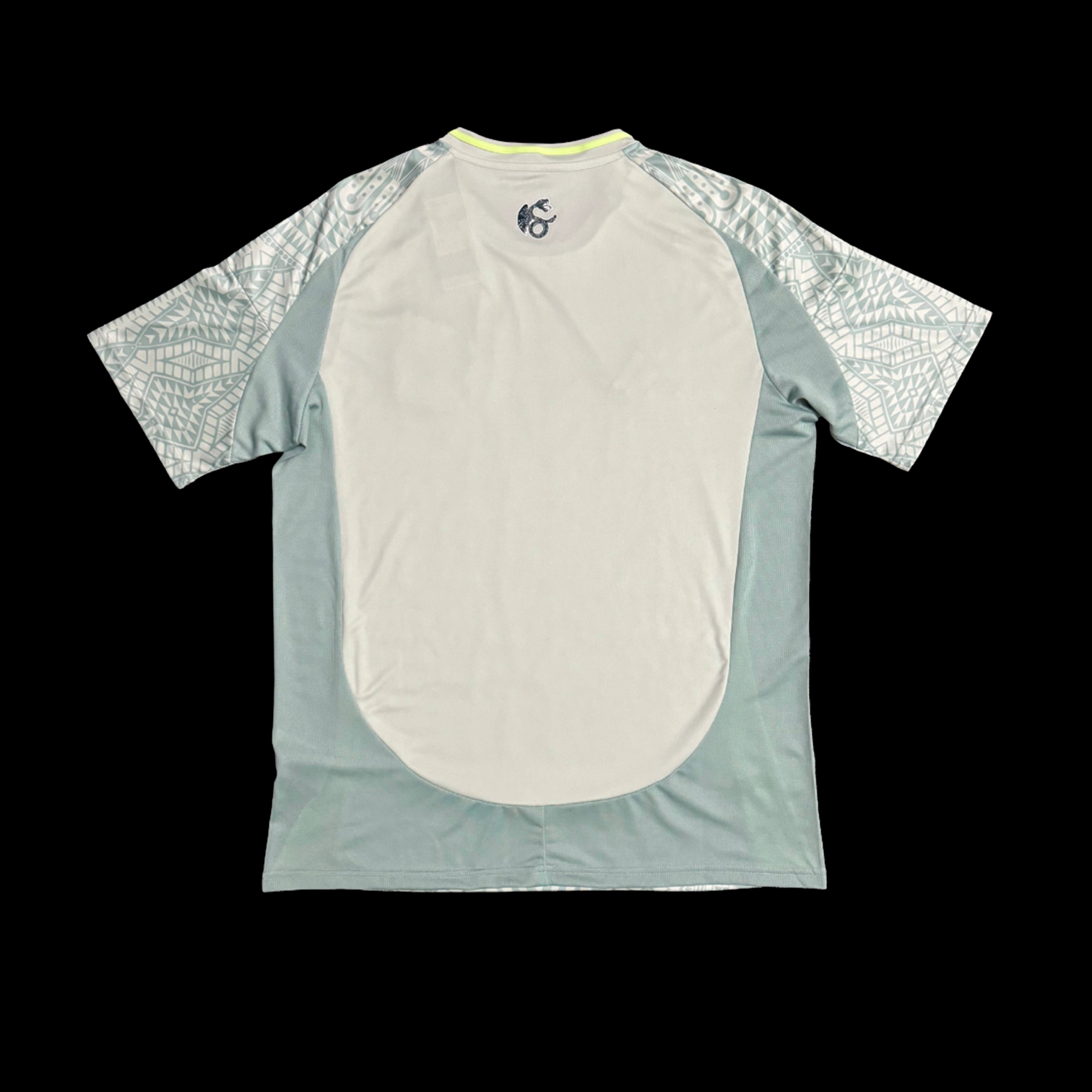 Mexique Maillot Exterieur 24/25