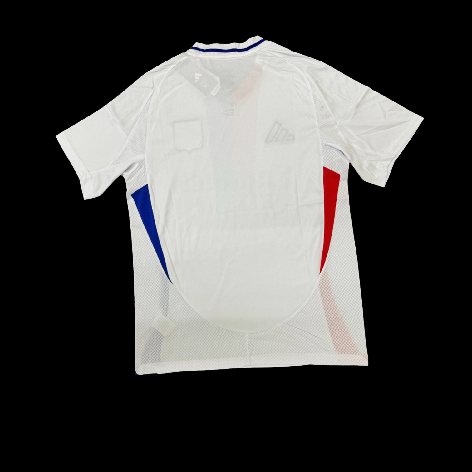 Lyon Maillot Domicile 24/25