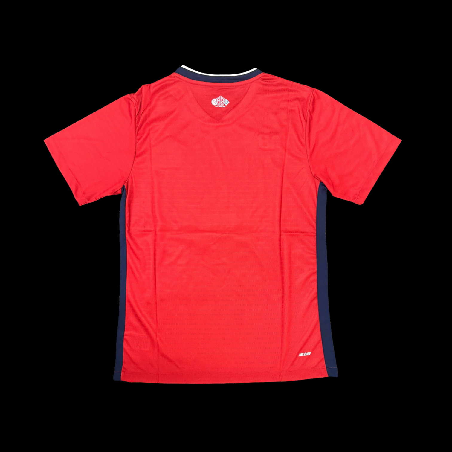 Lille Maillot Domicile 24/25