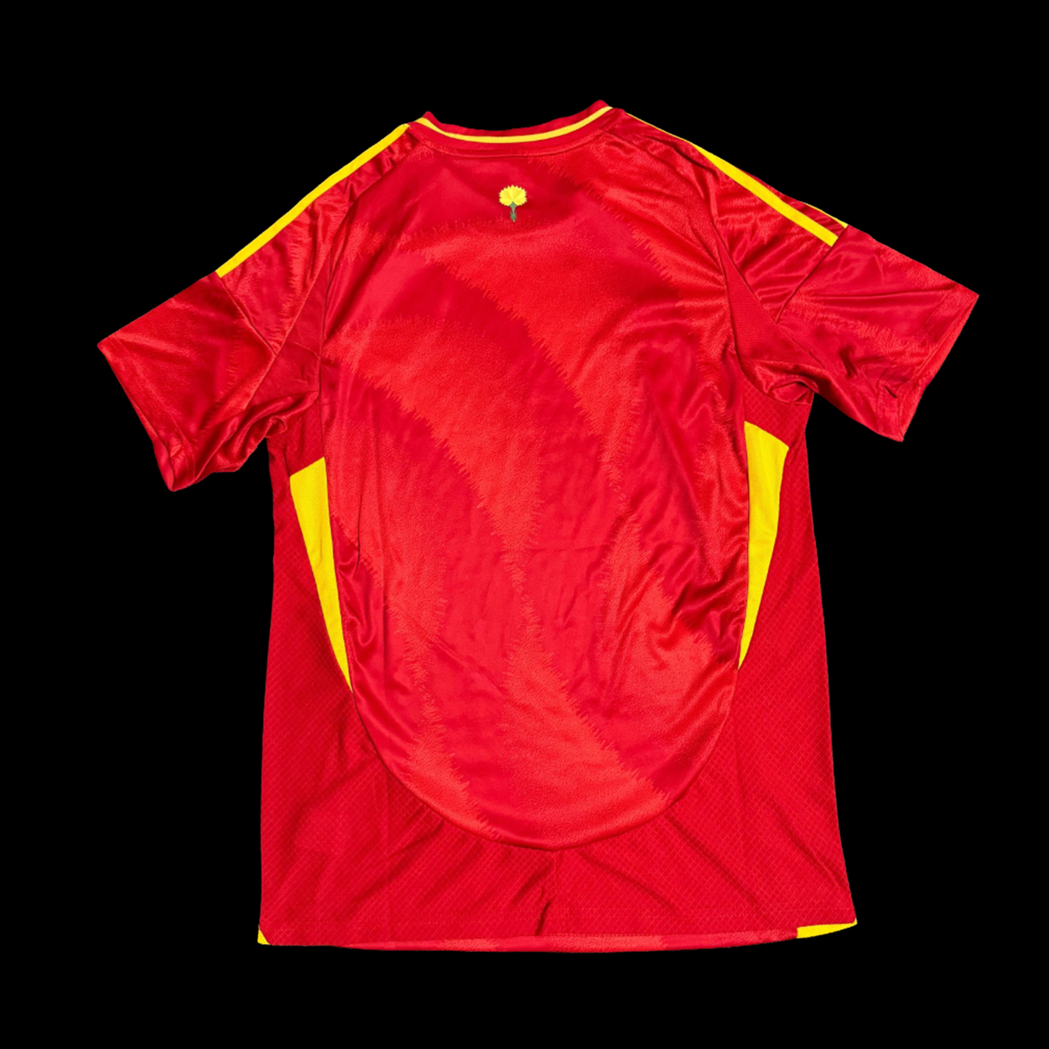 Espagne Maillot Domicile 24/25