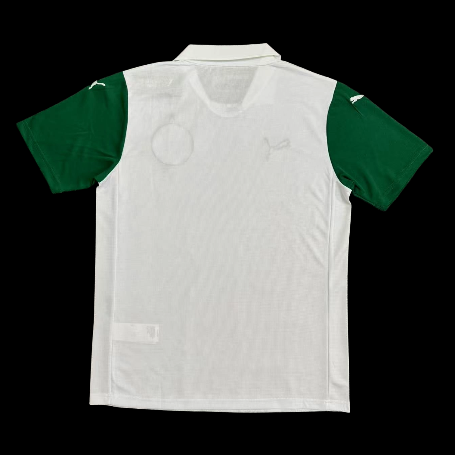 Palmeiras Maillot Exterieur 25/26