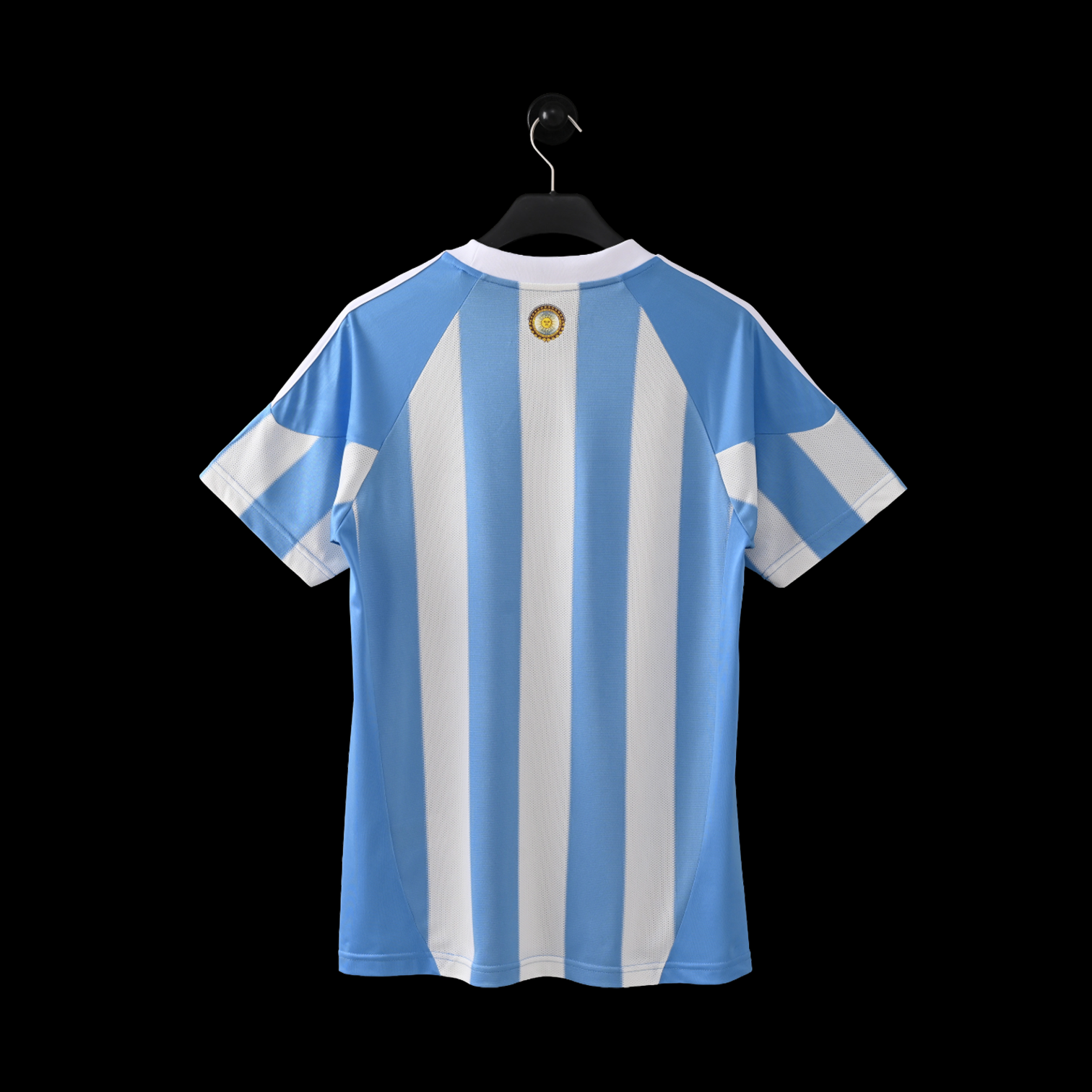 Argentine Maillot Domicile 10