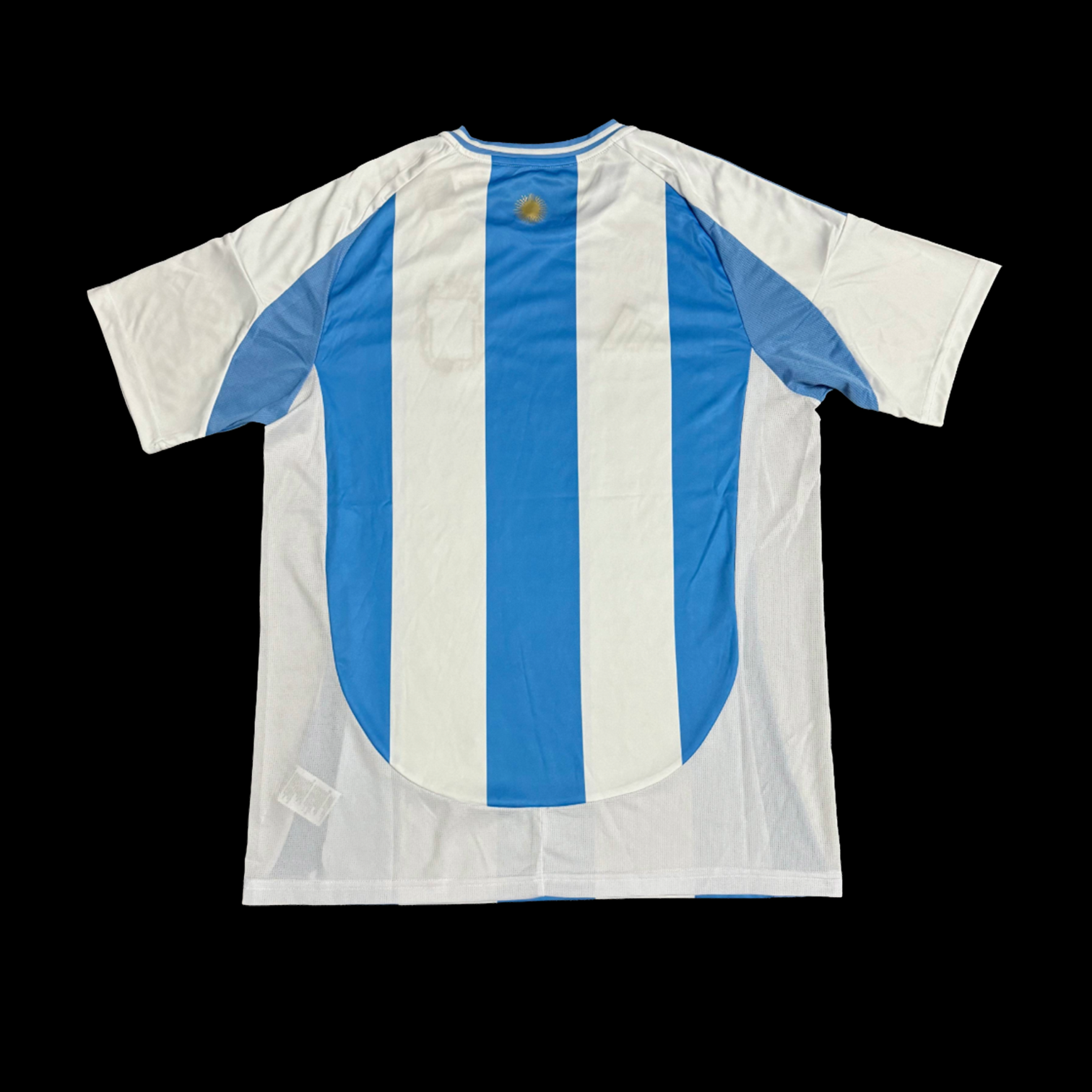 Argentine Maillot Domicile 24/25