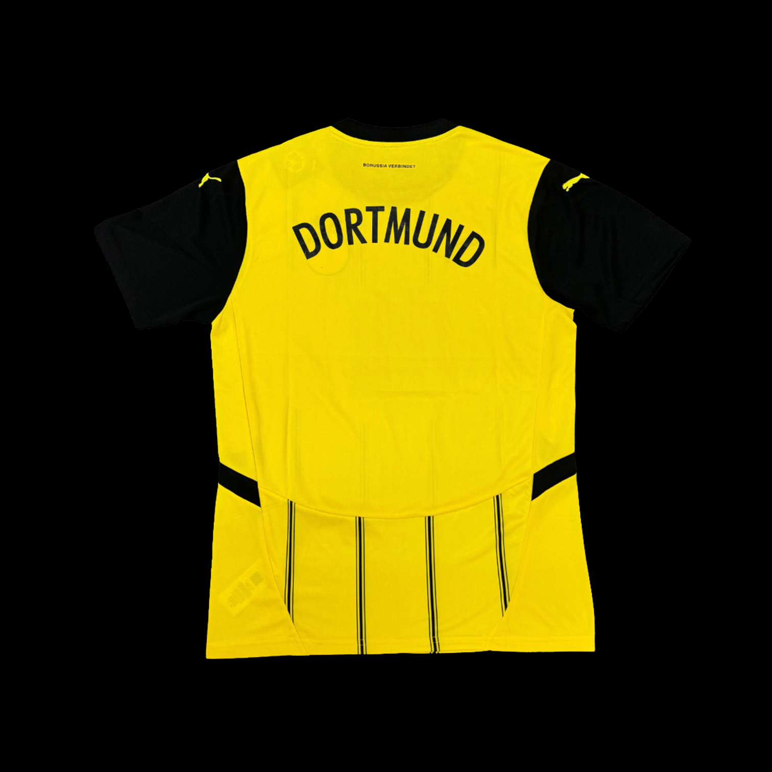 Dortmund Maillot Domicile 24/25