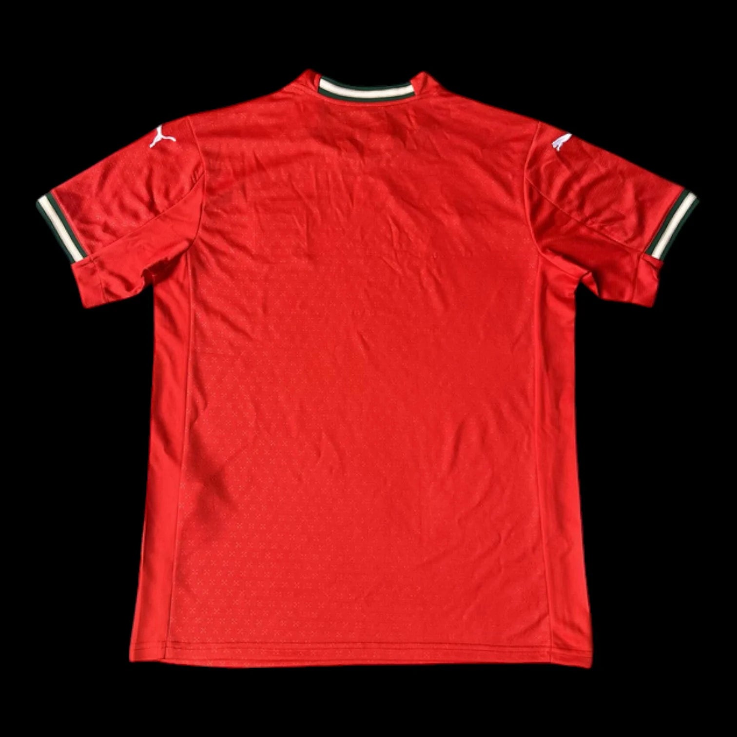 Portugal Maillot Domicile 25/26